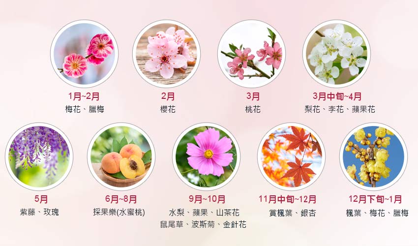 12節氣